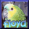anathiona@petoftheday.com's Avatar