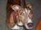 belle67's Avatar