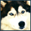 Catboy123's Avatar