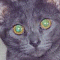katienoonan's Avatar