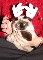 cmaijer's Avatar