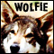 wolfie's Avatar