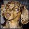 dappledoxie's Avatar