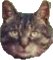 Kody's Avatar