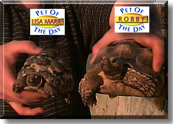 Lisa Marie and Robbie, the Pet of the Day