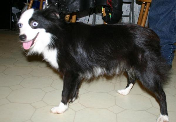 Zoe  is about 10"