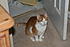 Oscar looking precious in the doorway.