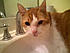 I loved to drink from the sink.