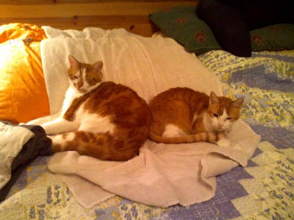 I'm on the right, my buddy is Chester, on the left!