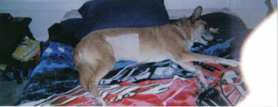 Cheyenne after she had an ultrasound to help find her cancer.