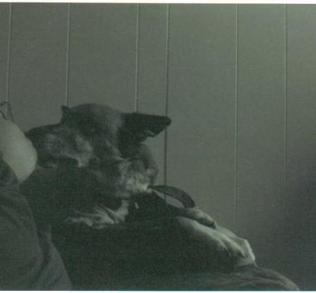Cheyenne giving me kisses for taking such good care of her before and after she got sick.