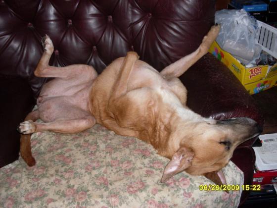 Catching some zzzzzzz's