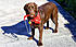 Ready for a walk in the sun. 
21/10/2011