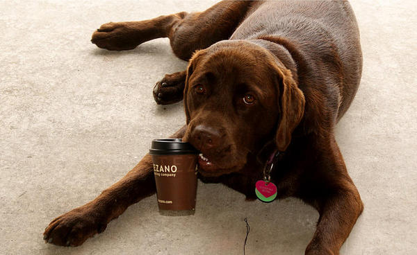 You want my Coffee?
27/07/2011