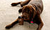 You want my Coffee? 
27/07/2011