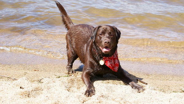 Posing in the sand.
29/10/2011
