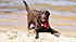 Posing in the sand. 
29/10/2011