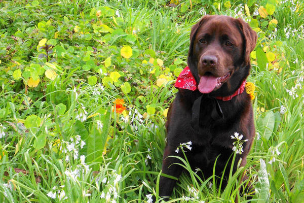 "I love the green grass!"
12/06/2011