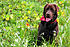 "I love the green grass!" 
12/06/2011