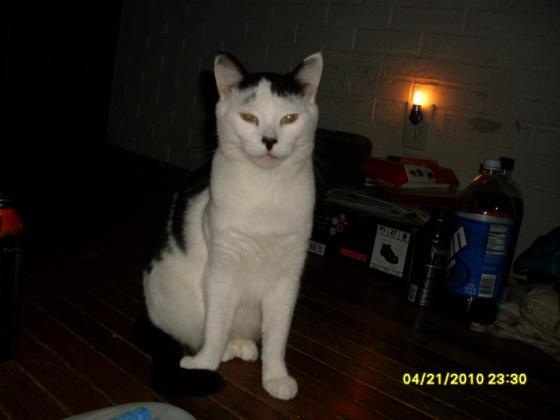 Casper