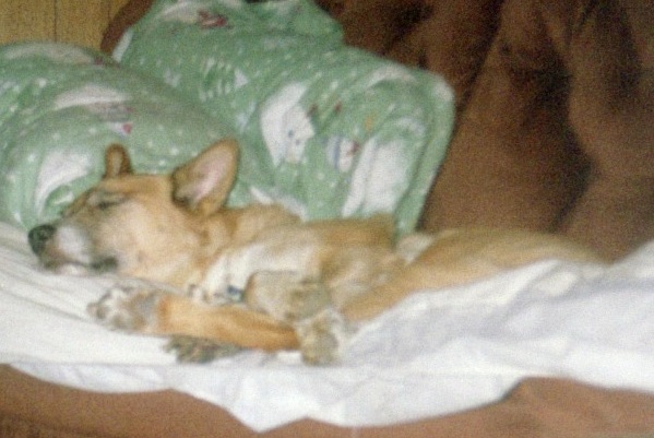Chey on the couch