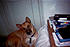 Cheyenne with her head tilted looking at me.