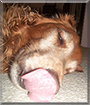 Name:  large.jpg
Views: 235
Size:  13.1 KB
