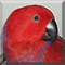Name:  small.jpg
Views: 181
Size:  5.5 KB