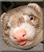 Name:  large.jpg
Views: 184
Size:  13.2 KB