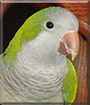 Name:  large (1).jpg
Views: 209
Size:  13.2 KB