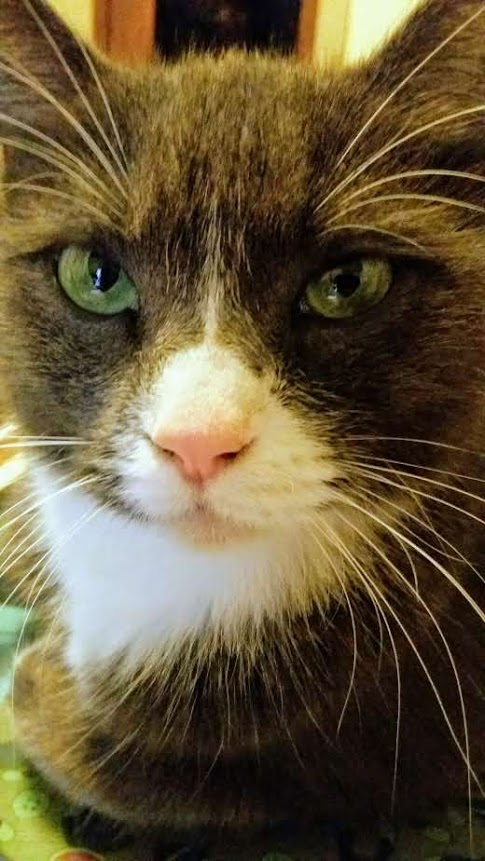 Name:  monnew2.jpg
Views: 267
Size:  95.4 KB