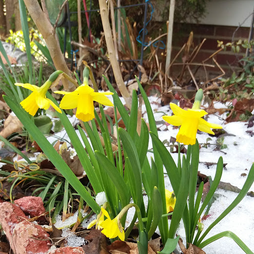 Name:  nospring.jpg
Views: 448
Size:  121.0 KB