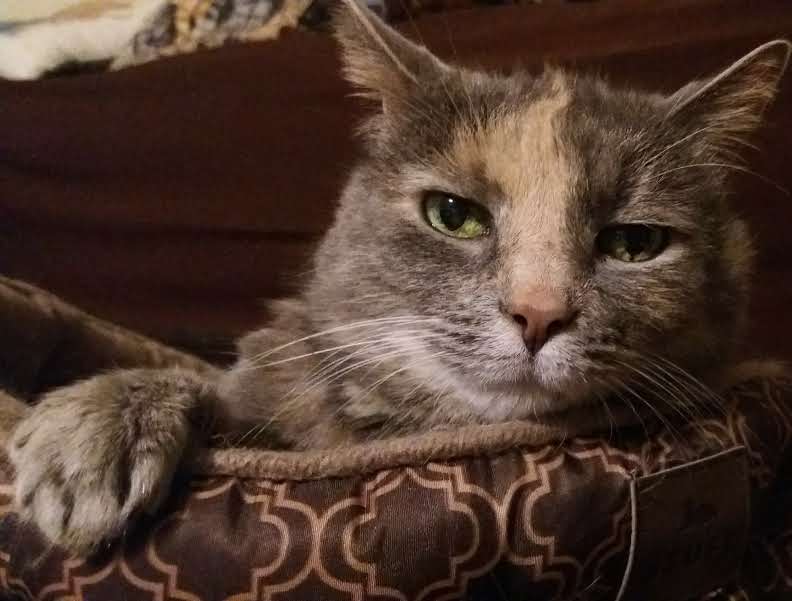 Name:  mkpr1.jpg
Views: 247
Size:  37.3 KB