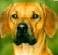 Thandi's Avatar
