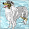 wigglebutts's Avatar